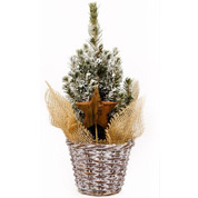 Arvore de Natal - PX01 - A 30-35 cm